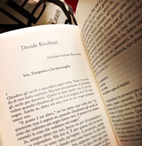 davide bachini's book on a table